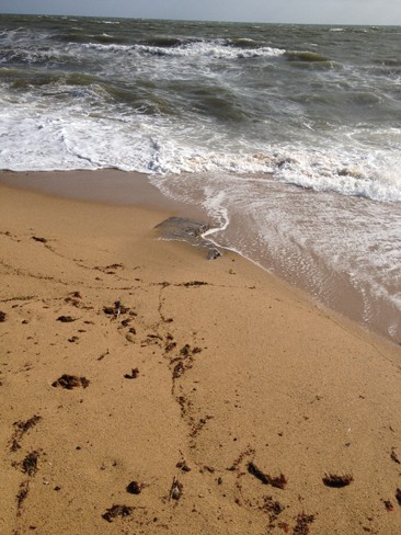 black rock stormwater 11