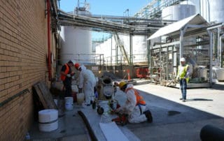 seppelts 37 seppelts 37